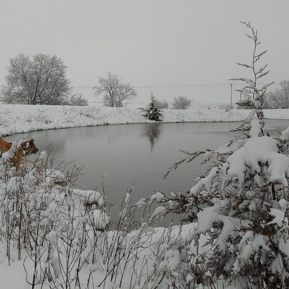 ๐ป๐Michelle๐๐ป - Picture 6 of 8